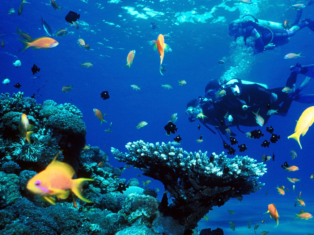 Spend Holiday in Hurghada